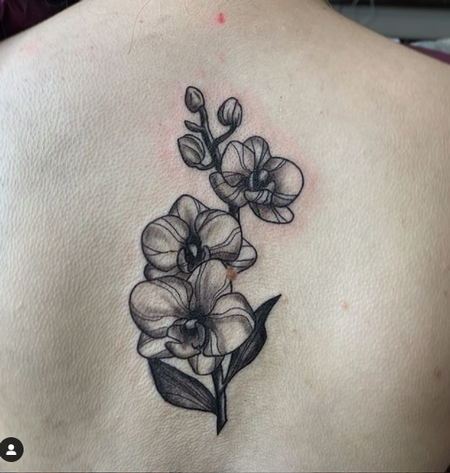 tattoos/ - Anna Mia Orchid - 143555